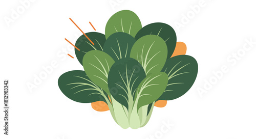 Fresh Bok Choy Illustration Against a Black Background for Culinary Projects