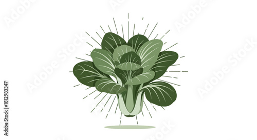 Fresh Bok Choy Illustration Against a Black Background Displaying Natural Radiance