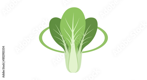 Fresh Bok Choy Illustration Against a Black Backdrop for Culinary and Dietary Purposes