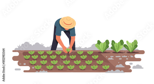 Farmer Planting Young Plants in the Garden Growing Vegetables, Agriculture Vector Illustration