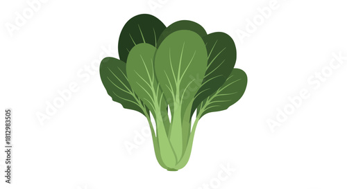 Fresh Bok Choy Isolated On Black Background, Healthy Green Leaves in Vivid Illustration