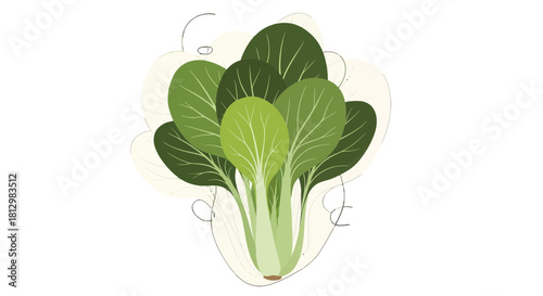 Fresh Bok Choy On a Dark Background, Perfect For Food And Healthy Eating Concepts