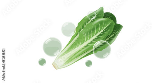 Fresh Bok Choy With Bubbles Floating Against Black Background