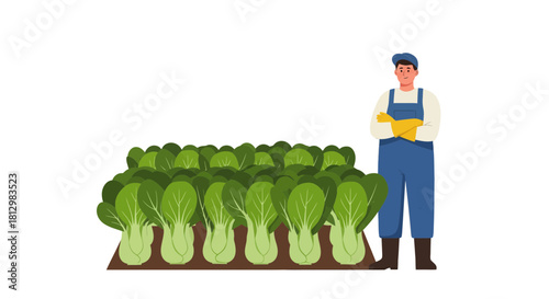 Farmer Standing Beside a Freshly Grown Field of Leafy Greens and Vegetables