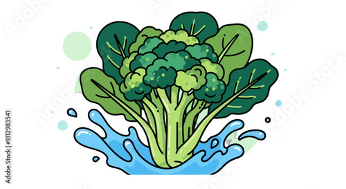 Fresh Broccoli Emerging From Water With a Clean, Bright, And Minimalist Illustration