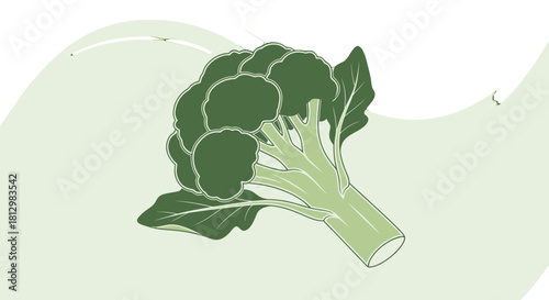 Fresh Broccoli Depicted Against a Creative Background, Vector Graphic Illustration
