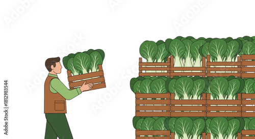 Farmer Transporting Crate Filled With Freshly Harvested Bok Choy Vegetables For Sale