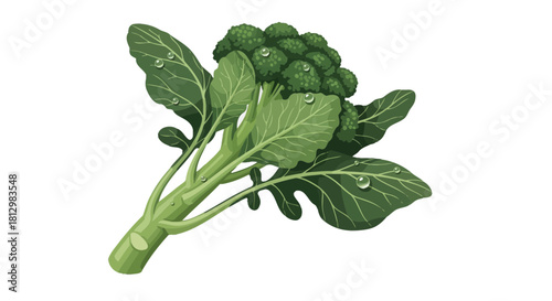 Fresh Broccoli Depicted Against Black Background Illustrating Healthy Eating and Nutrition