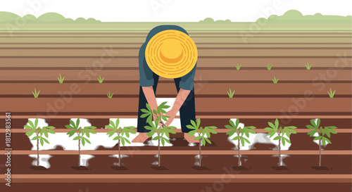 Farmer Tending Young Plants In A Field Illustrating Agricultural Endeavors