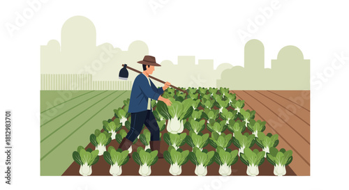 Farmer Working In The Bok Choy Field Under The Sunny Sky Harvesting The Crops