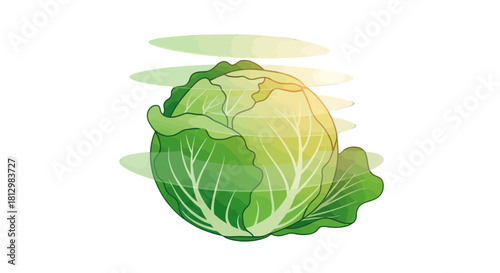 Fresh Cabbage Illustrated Against Black Background: A Refreshing Culinary Visualization