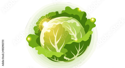 Fresh Cabbage Illustration: A Vibrant Visual Depicting Vegetable Nutrition