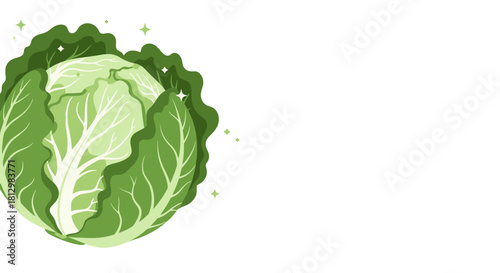 Fresh Cabbage Illustration on Black with Shimmering Elements and Green Tones