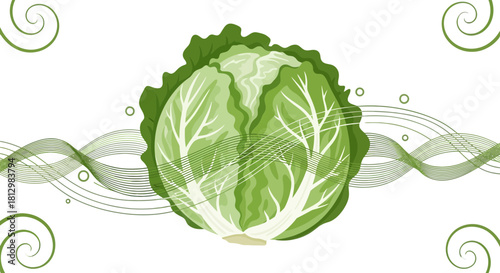 Fresh Cabbage Composition With Modern Green Accents On A Black Artistic Backdrop