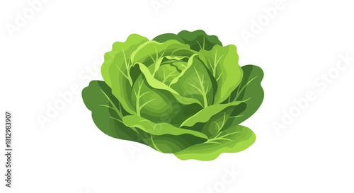 Fresh Cabbage Isolated on Black Background for Healthy Lifestyle Promotions