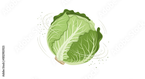 Fresh Cabbage Isolated on Black Background Presenting Healthy Eating and Vegetables