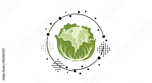 Fresh Cabbage Isolated on Black Background With Minimalist Graphic Style Design