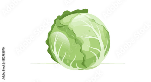 Fresh Cabbage Isolated on Black Background, Digital Illustration of a Vegetable
