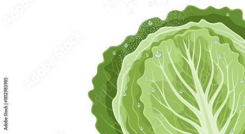 Fresh Cabbage Isolated on Black, a Verdant and Refreshing Culinary Ingredient