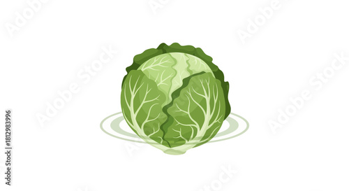 Fresh Cabbage Plate Illustration on a Black Background Perfect for Health and Diet