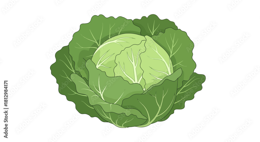 Fototapeta premium Fresh Green Cabbage Cartoon Illustration Against Black Background for Creative Use