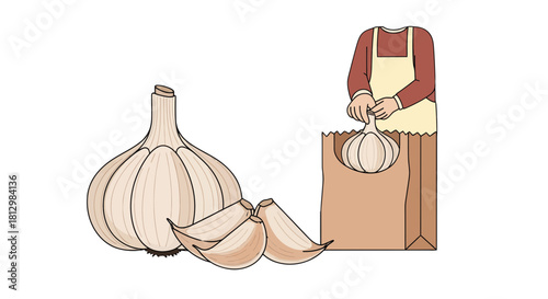 Fresh Garlic Bulbs and Cloves Illustration with a person packing in a paper bag