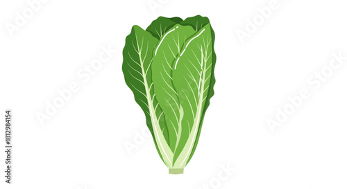 Fresh Appetizing Vegetable Design Perfectly Showcased Against Stunning Black Backdrop