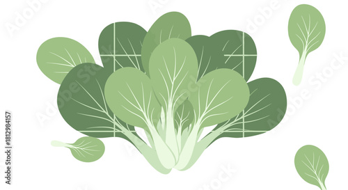 Fresh Green Bok Choy Illustration on a Black Background Perfect for Health and Wellness.