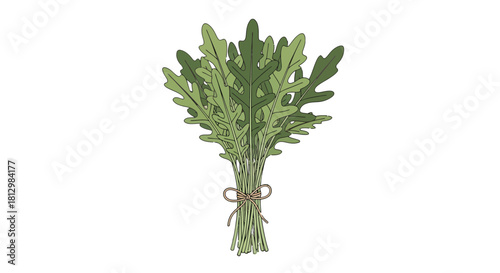 Fresh Arugula Bunch Illustration With A Black Background, Vector Illustration Style