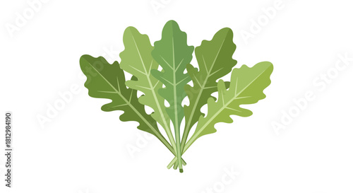 Fresh Arugula Bunch Against a Solid Black Background Is Perfect For Food Design