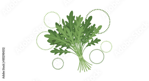 Fresh Arugula Bunch with Decorative Elements Against a Dark Background Illustration