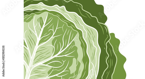 Fresh Green Leafy Vegetable Abstract Illustration Against a Black Backdrop Design