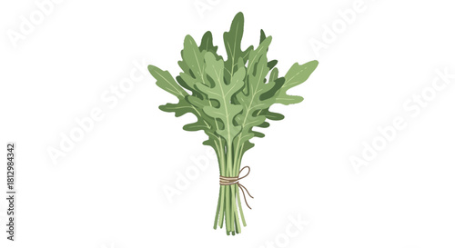 Fresh Arugula Bunch with Twine on Black Background for Culinary and Health Concepts