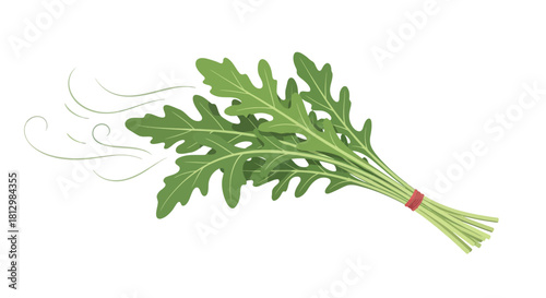 Fresh Arugula Bunch with Whimsical Wind Effect on a Black Background