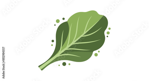 Fresh Green Leafy Vegetable Against Black Background Ideal for Food and Nature Themes