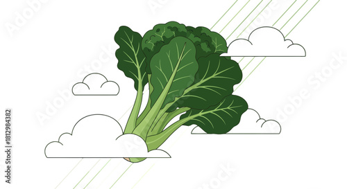 Fresh Green Leafy Vegetable Floating Amongst White Clouds And Diagonal Lines