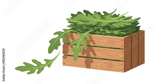 Fresh Arugula In a Wooden Crate, Artistic Presentation on Black Background