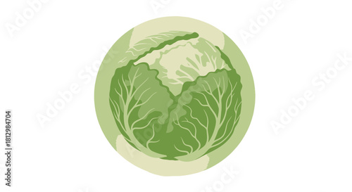 Fresh Illustrative Round Cabbage Depiction Over Black Background Perfect For Healthy Eating