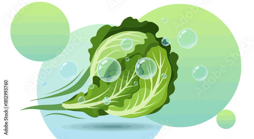 Fresh Lettuce and Bubbles Illustration Depicting Healthy Eating and Well-being