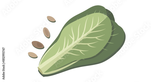 Fresh Lettuce and Seeds Graphic Illustrating Natural Culinary And Nutritional Concept