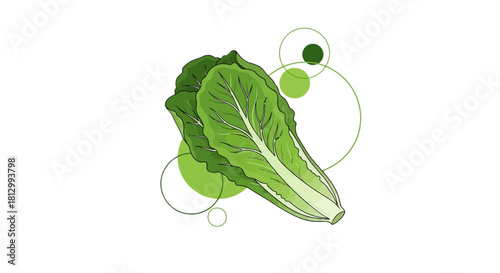Fresh Lettuce Artistically Displayed Against a Dark Backdrop with Modern Graphic Elements