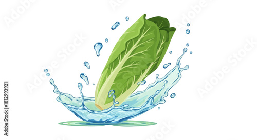 Fresh Lettuce Immersed In Water With Vibrant Water Drops Against Black Background