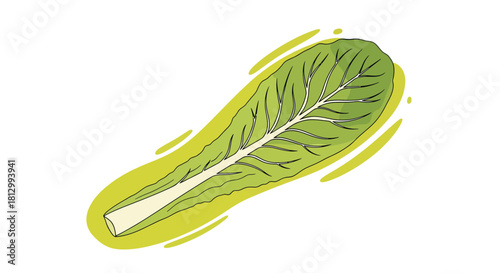 Fresh Lettuce Leaf Graphic Illustration And Design For Culinary And Healthy Eating