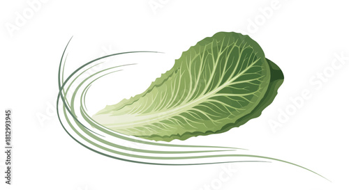 Fresh Lettuce Isolated Against a Stark Black Background in a Contemporary Artistic Rendering
