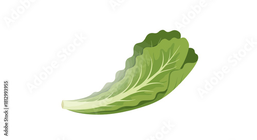 Fresh Lettuce Leaf Graphic On Black Background, Healthy Green Food Design