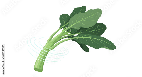 Fresh Vibrant Green Leaves Vector Illustration Against a Black Backdrop, Artistic Design