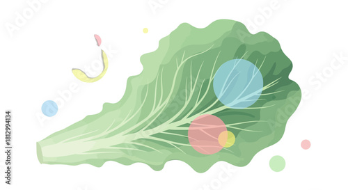 Fresh Lettuce Leaf With Playful Geometric Accents On a Stark Black Backdrop