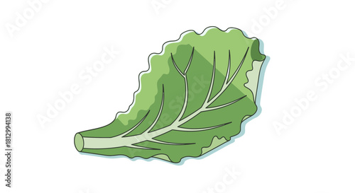 Fresh Lettuce Leaf On Black Background Suitable For Various Design Purpose