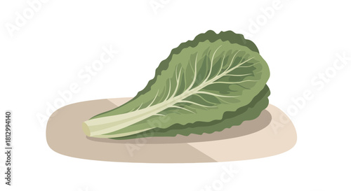 Fresh Lettuce Leaf Placed At The Table Garnished for Healthy Meal Designs