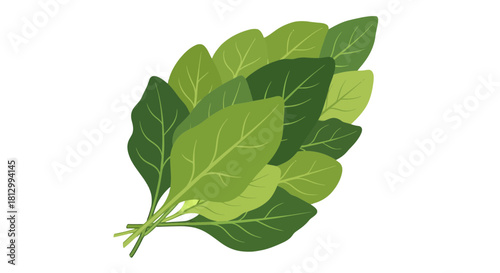 Fresh, Vibrant Spinach Leaves Against a Stark, Elegant Black Background